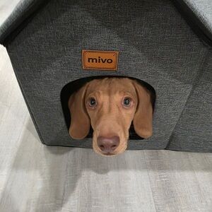 Outdoor Cat House, Weatherproof Cat Houses for Outdoor/Indoor Cats, Collapsib...